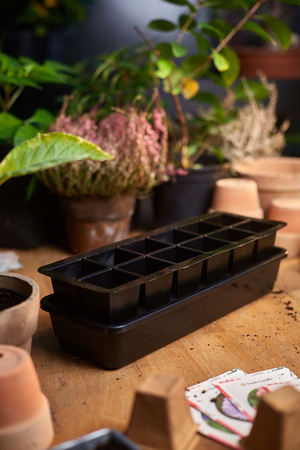 Mini drivhus med selvvanding m. 12 celler